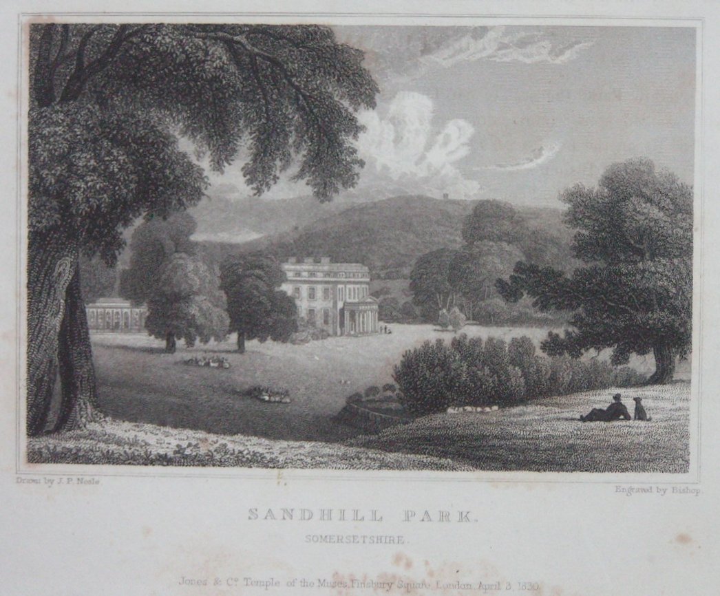 Print - Sandhill Park, Somersetshire - Taylor